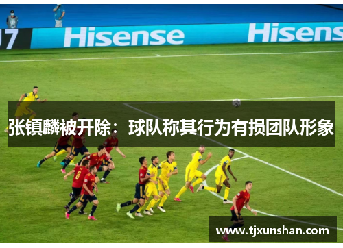 张镇麟被开除：球队称其行为有损团队形象