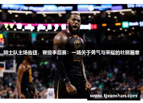 骑士队主场告捷,晋级季后赛:一场关于勇气与荣耀的壮丽篇章